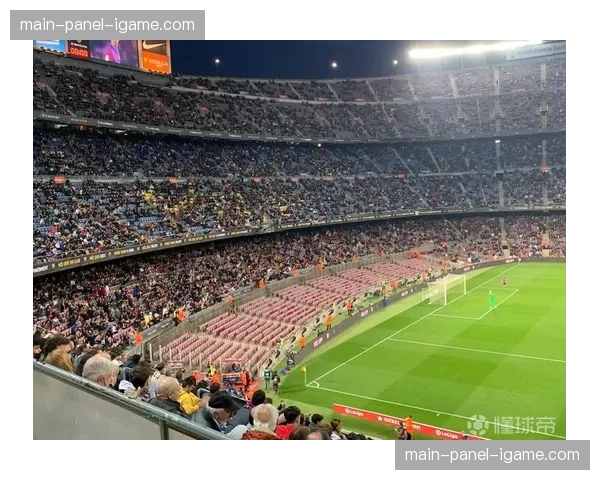 柏林联死忠球迷在比赛前夜自发清洁球场周边街道